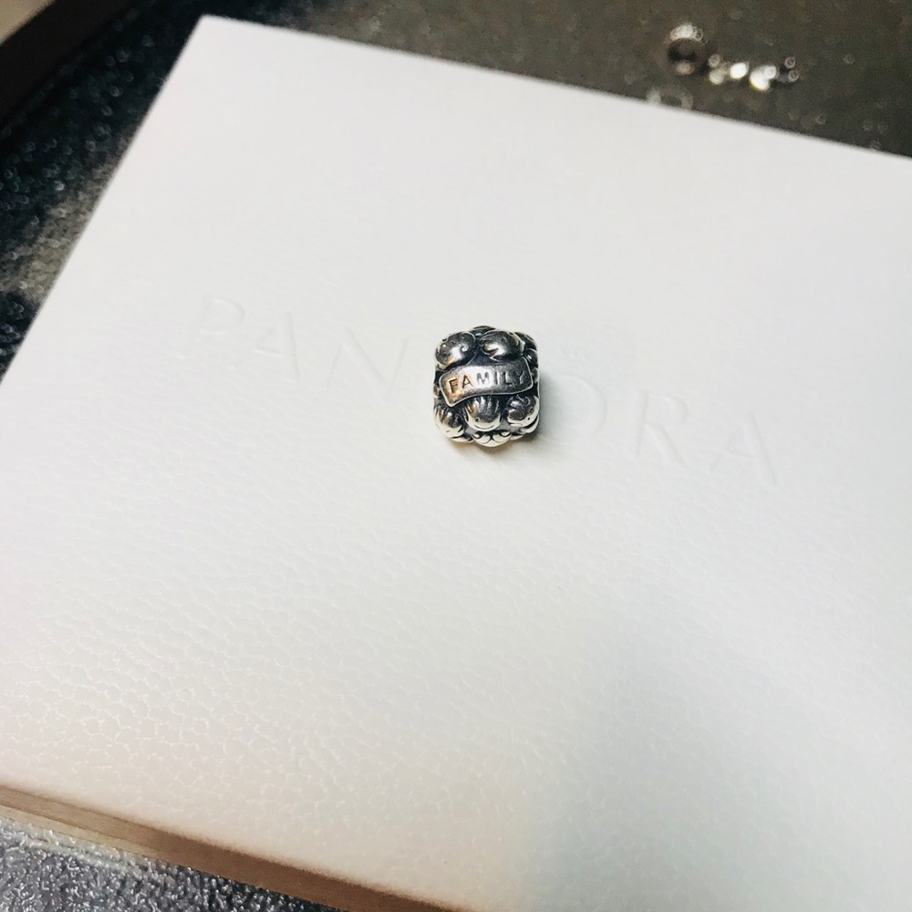 Pandora Family Love Charm